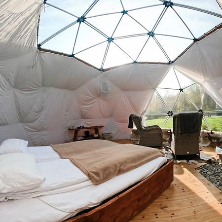 Wild Caribou Dome Lakselv Exterior foto