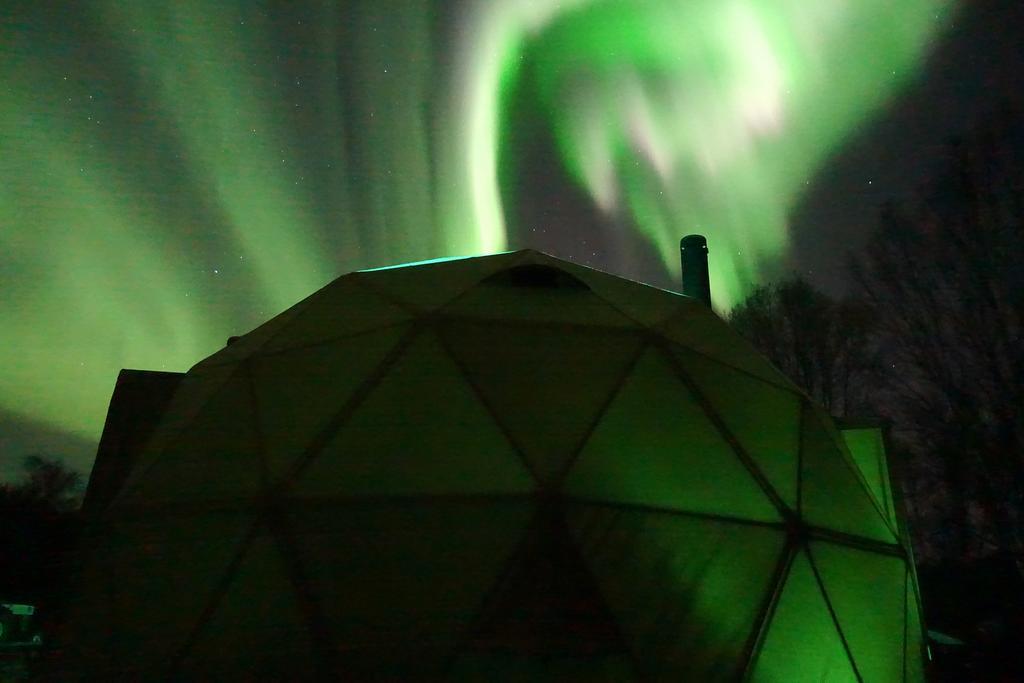 Wild Caribou Dome Lakselv Exterior foto