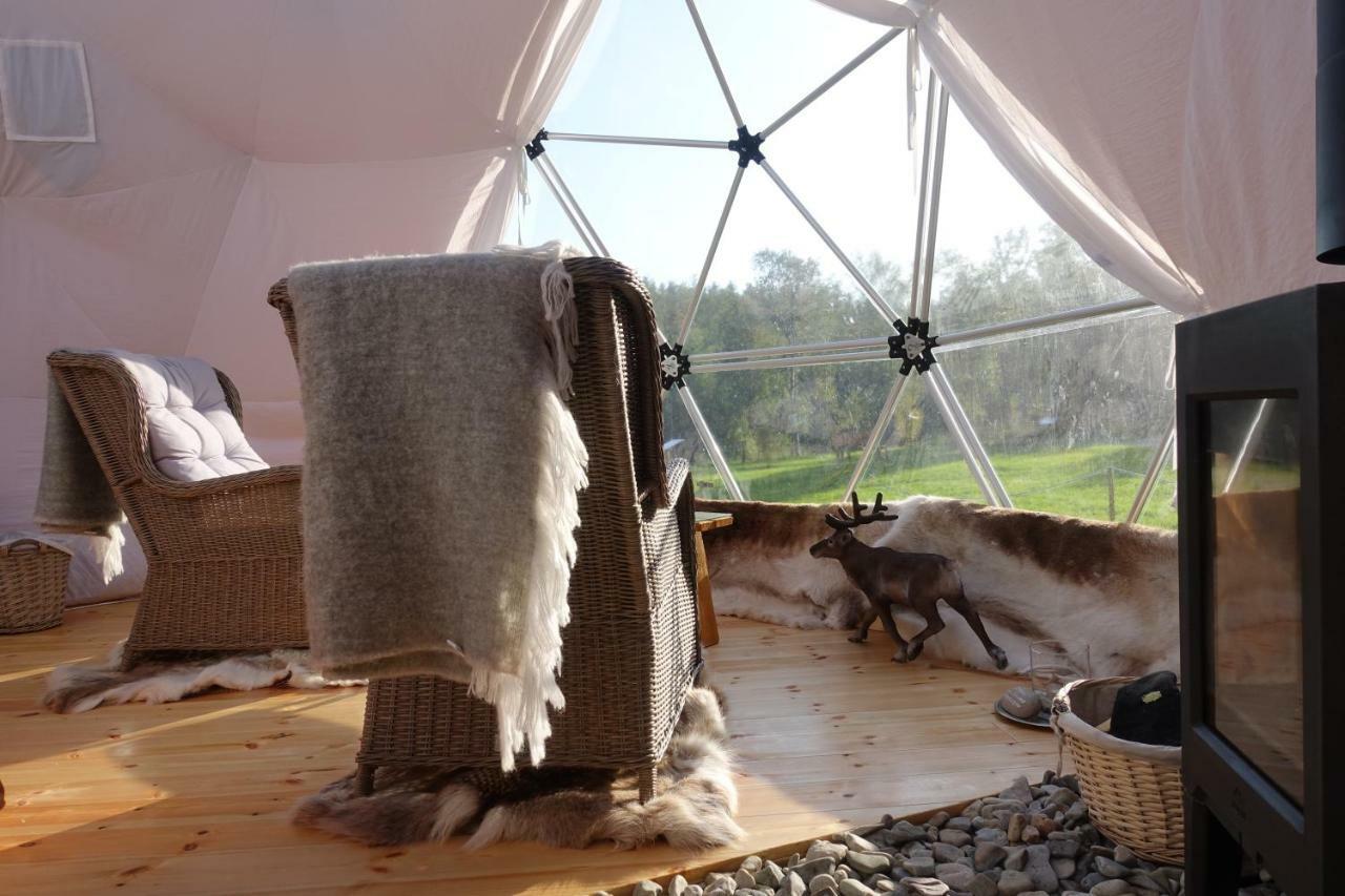 Wild Caribou Dome Lakselv Exterior foto