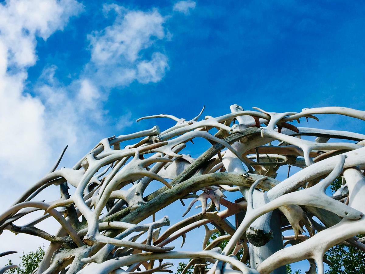 Wild Caribou Dome Lakselv Exterior foto