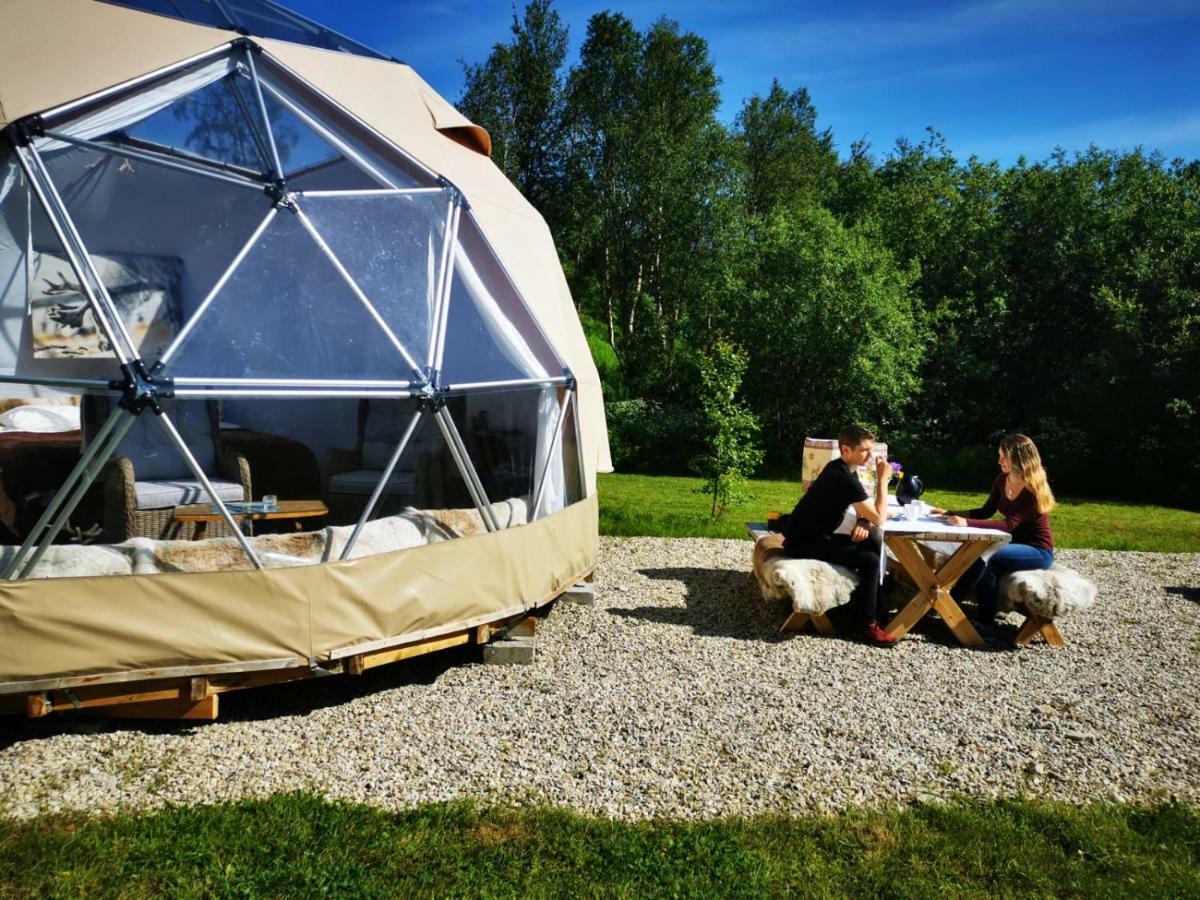 Wild Caribou Dome Lakselv Exterior foto